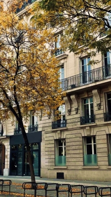 rue 3.jpg